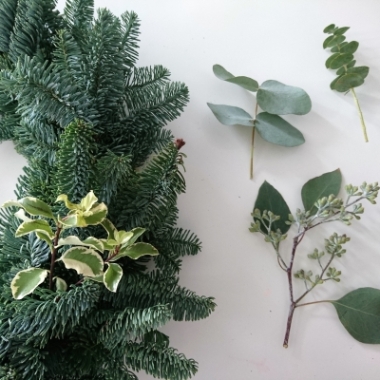 Festive Fresh Greenery Box 2023